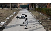 Robot umanoidi che imparano ad alzarsi